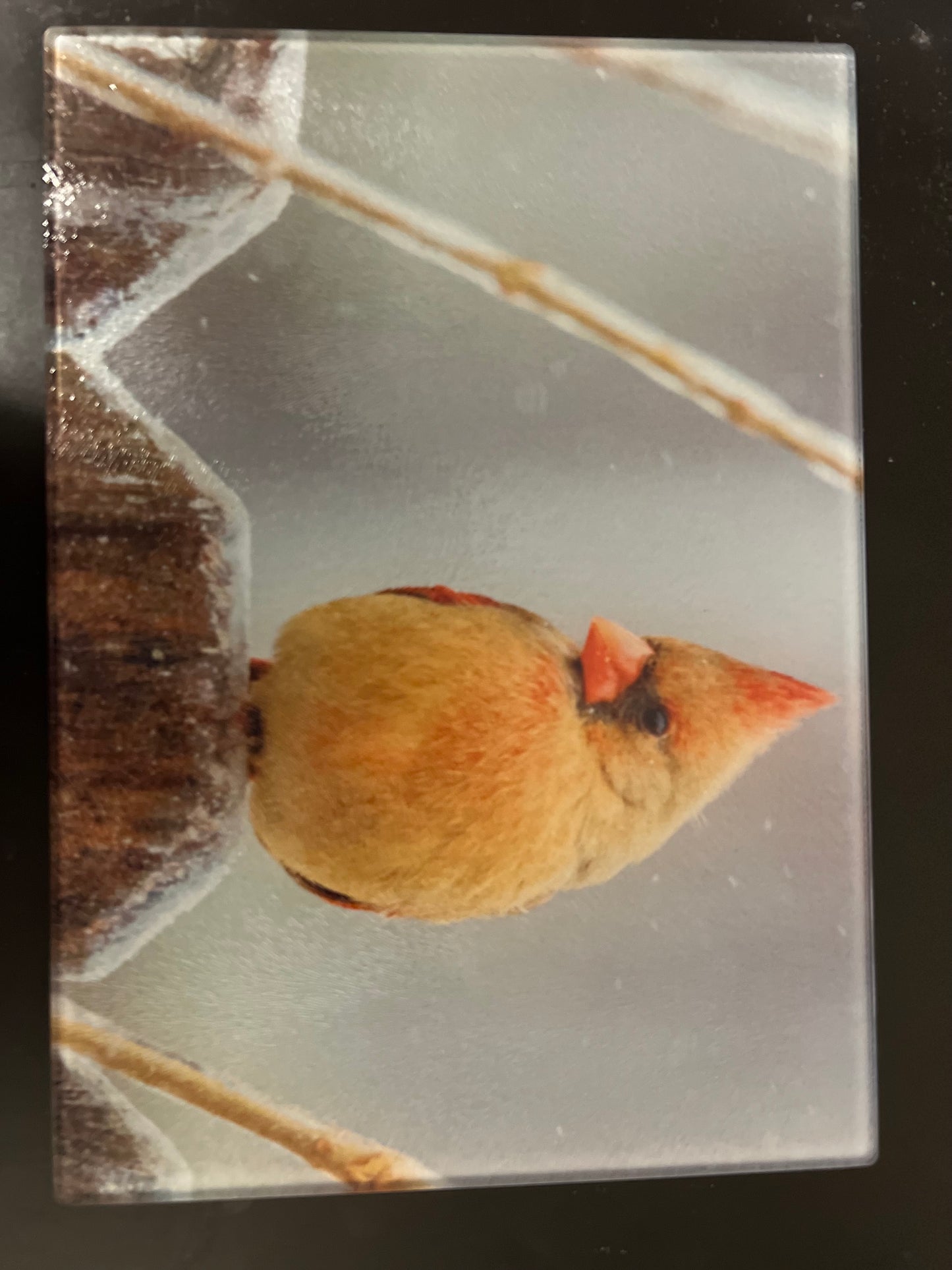 Northern Lights Cutting Board