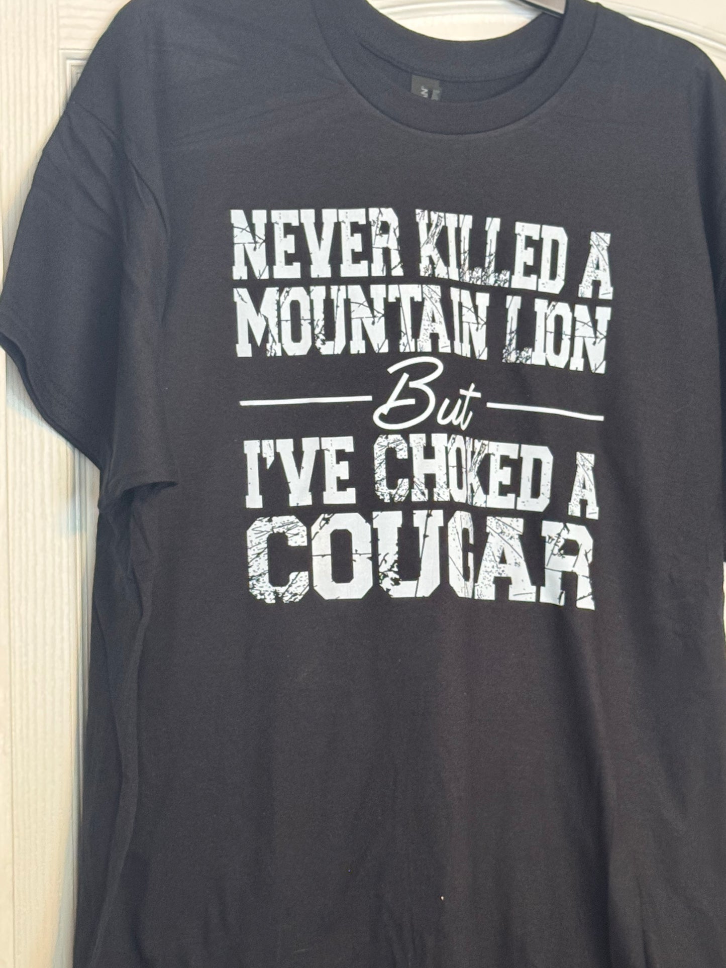 Mountain Lion - Brittany